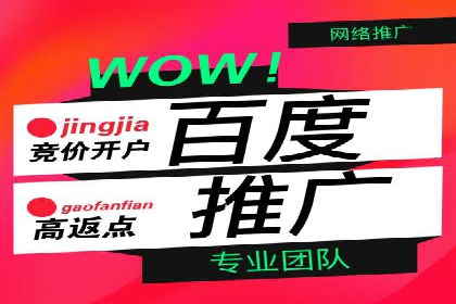 解析百度搜索推广的广告投放策略及效果